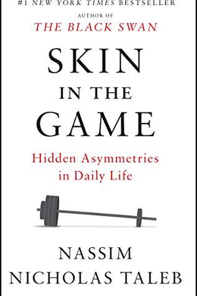 Skin in the Game book cover